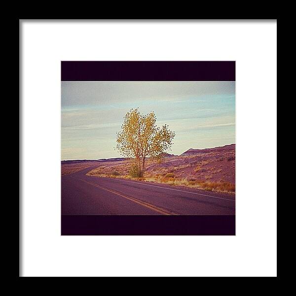 Highway Framed Print featuring the photograph Lost Highway by Tara Brown