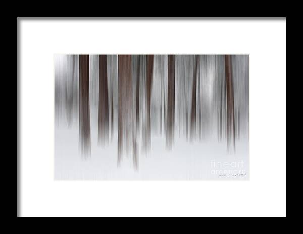 Woods Framed Print featuring the photograph Lost by Beve Brown-Clark Photography