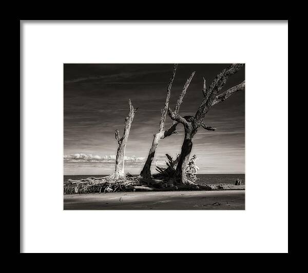 Black And White Framed Print featuring the photograph Lost World by Mario Celzner