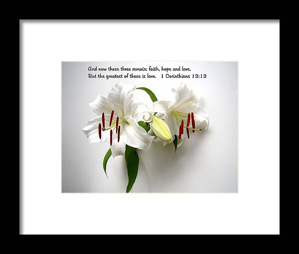 Love Framed Print featuring the photograph Love and Scripture 2 by Nick Kloepping