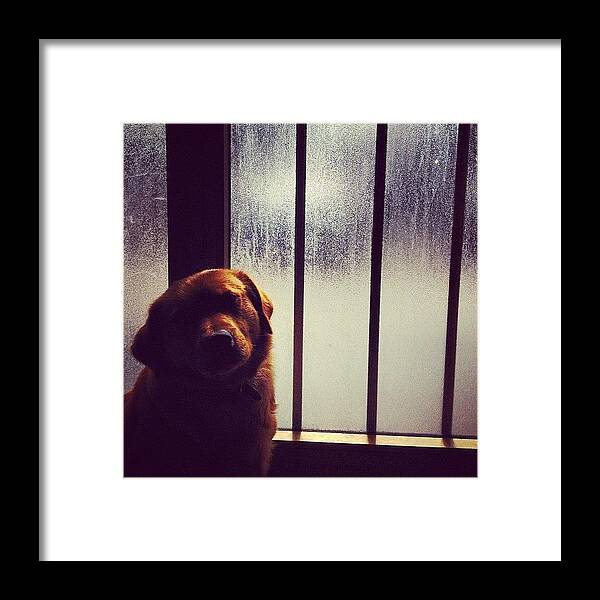 Beautiful Framed Print featuring the photograph #love #tweegram #instagram #iphone by Matteo Zanetti