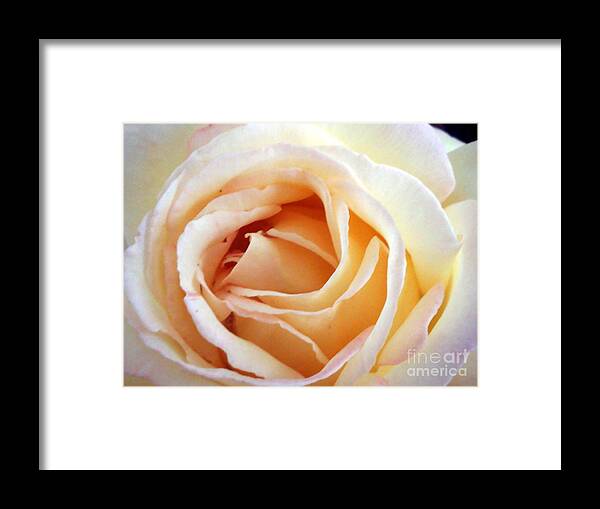 Roses Framed Print featuring the photograph Love unfurling by Vonda Lawson-Rosa