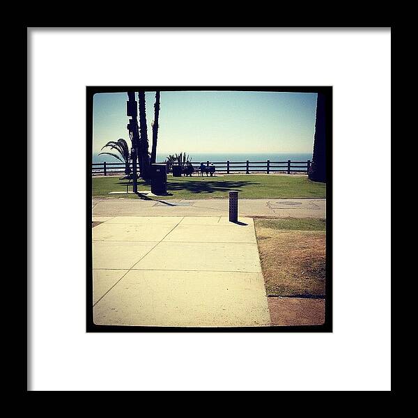  Framed Print featuring the photograph Lunchtime by Cortney Herron
