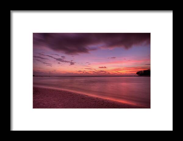 Magenta Framed Print featuring the photograph Magenta Magic by Nick Shirghio