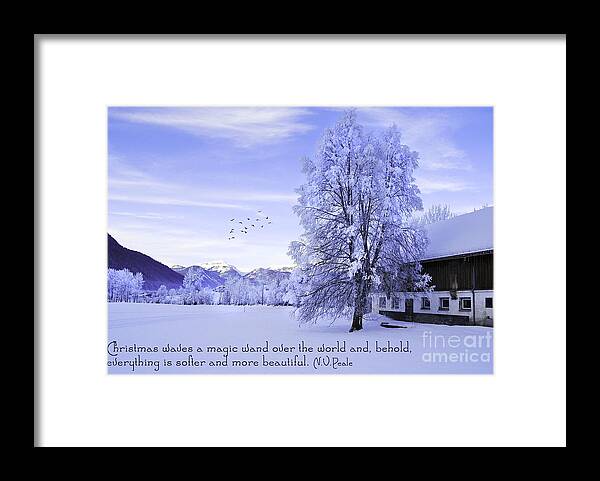 Winter Framed Print featuring the photograph Magic Wand by Sabine Jacobs