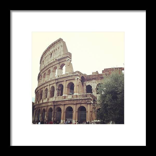 Instagram Framed Print featuring the photograph Magnifficent!! by Marce HH