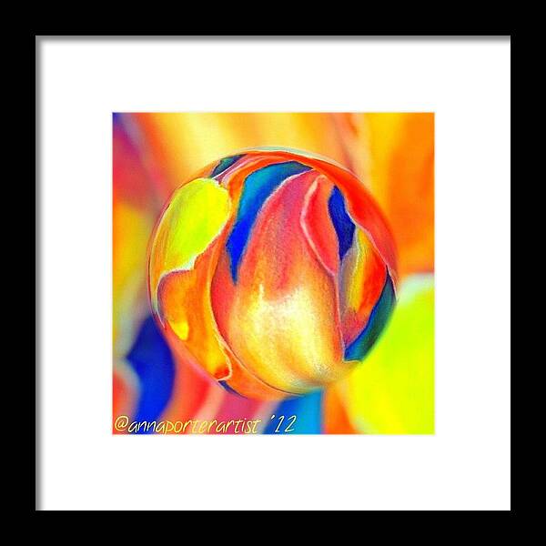 Art Framed Print featuring the photograph Magnolia Marble by Anna Porter