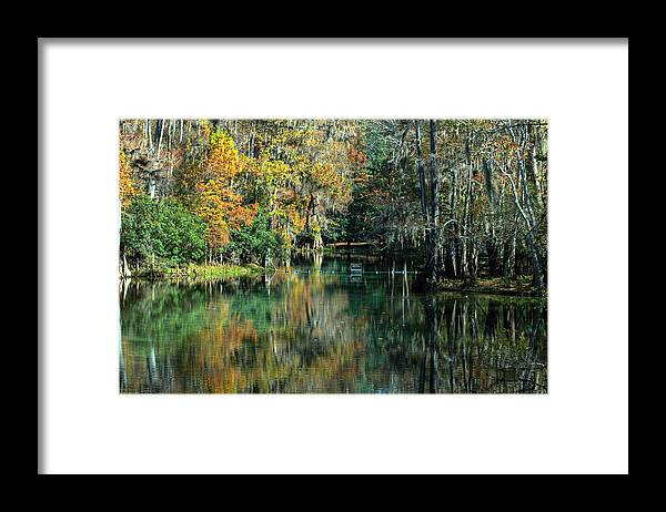 Manatee Spring Framed Print featuring the photograph Manatee Spring Florida by Ronald T Williams