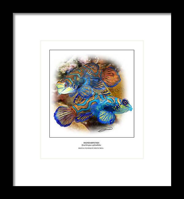 Mandarinfish Framed Print featuring the digital art Mandarinfish 2 by Owen Bell