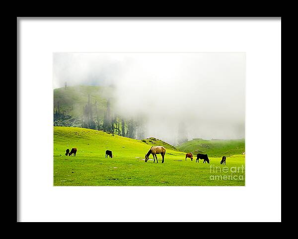 Meadows Framed Print featuring the photograph Meadows of Heaven by Syed Aqueel