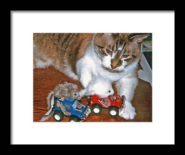 Whimsy Framed Print featuring the photograph Meals on Wheels by Lou Belcher