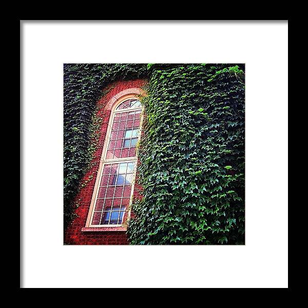 Greenery Framed Print featuring the photograph Meaningful Reflection by Amy DiPasquale