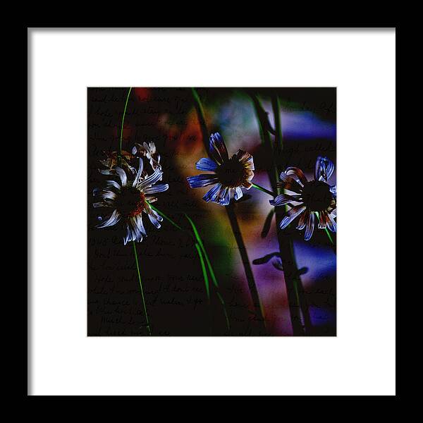 Nature Framed Print featuring the photograph Memory Garden by Bonnie Bruno