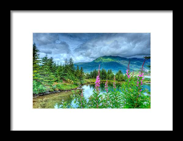 Fireweed Framed Print featuring the photograph Mendenhall Fireweed by Don Mennig