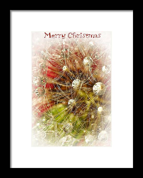 Photography Framed Print featuring the photograph Merry Christmas by Kaye Menner
