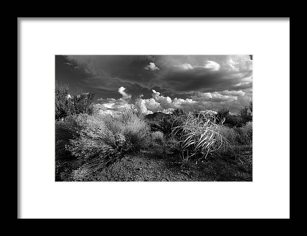 Landscape Framed Print featuring the photograph Mesa Dreams by Ron Cline