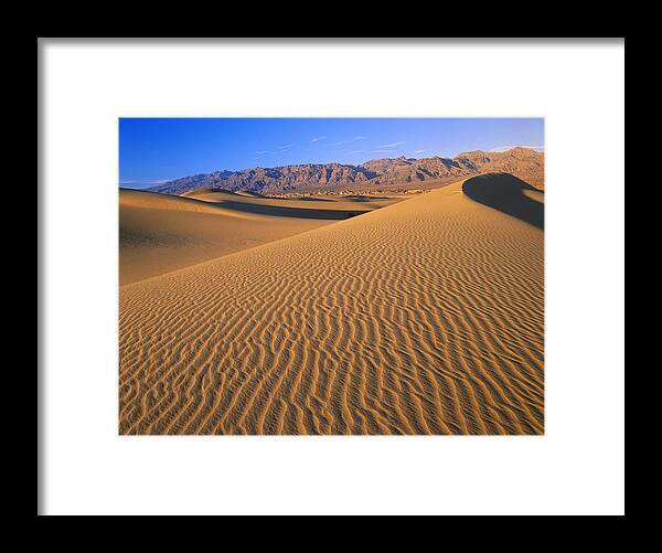 00173158 Framed Print featuring the photograph Mesquite Flat Sand Dunes Death Valley by Tim Fitzharris