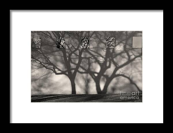Landscape Framed Print featuring the photograph Metropolitan Light and Shadow by Deborah Smith