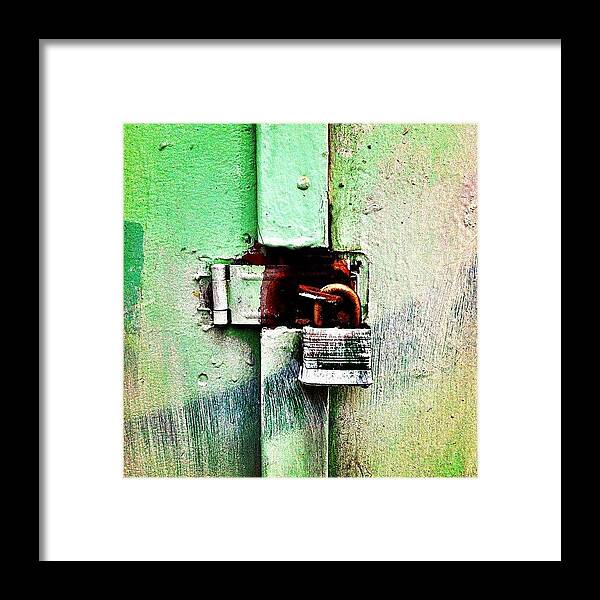 Mint Green Framed Print featuring the photograph Mint by Julie Gebhardt