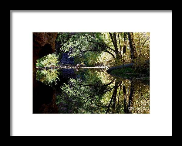 Reflection Framed Print featuring the photograph Mirror Reflection by Tam Ryan