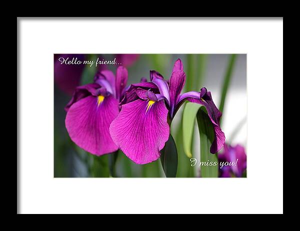 Card Framed Print featuring the photograph Miss You by Deborah Crew-Johnson