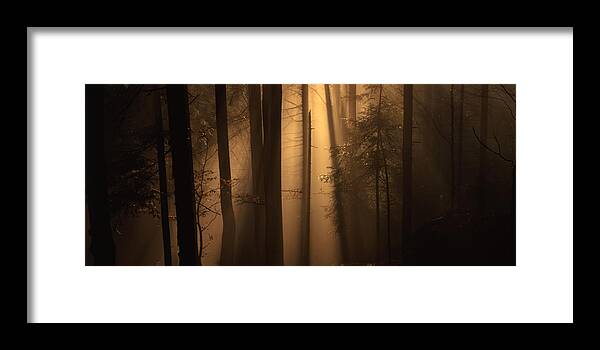 Nature Framed Print featuring the photograph Misty autumn forest by Ulrich Kunst And Bettina Scheidulin