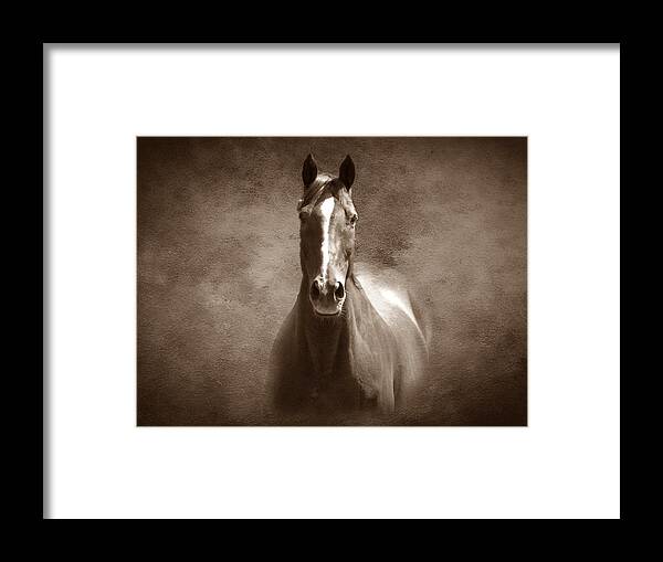 Horse Framed Print featuring the photograph Misty in the Moonlight S by David Dehner