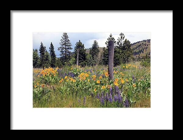 Wild Flowers Framed Print featuring the photograph Montana Wildflowers by Athena Mckinzie