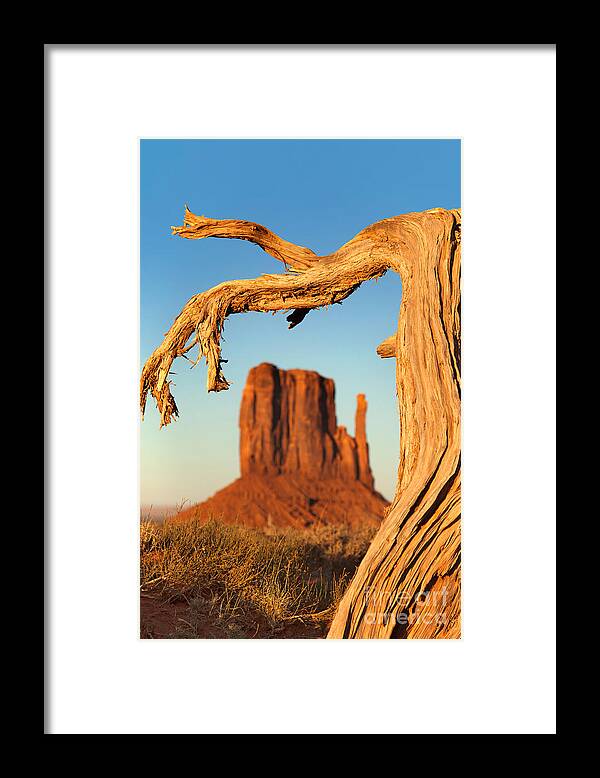 American Framed Print featuring the photograph Monument Valley by Jane Rix
