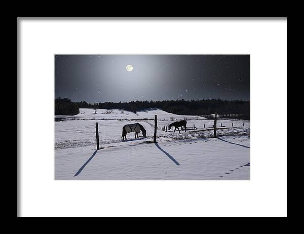 Astronomy Framed Print featuring the photograph Moonlit Horses by Larry Landolfi