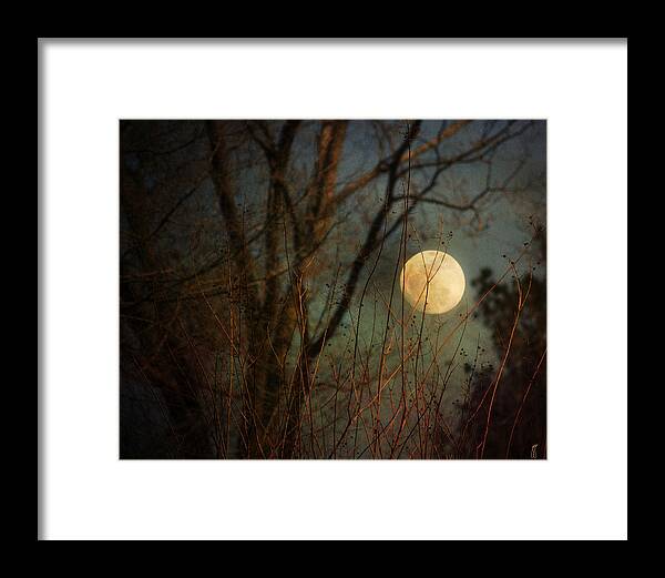 Moon Framed Print featuring the photograph Moonrise by Jai Johnson