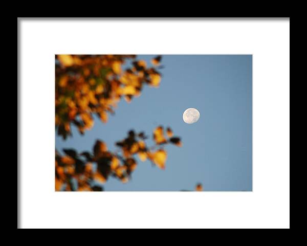 Moon Framed Print featuring the photograph Moonset Morning by Michael Merry