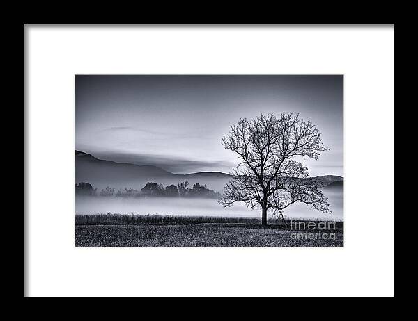 Black And White Landscape Framed Print featuring the photograph Morning Fog by David Waldrop