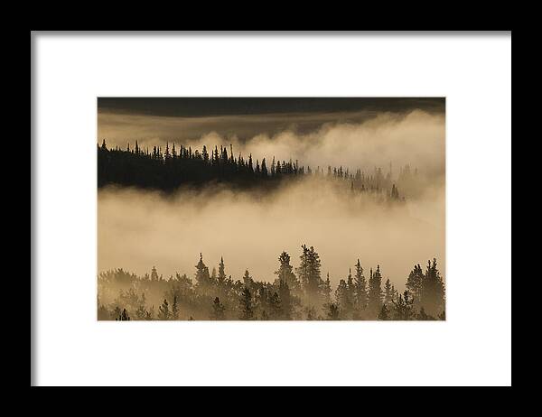 Mp Framed Print featuring the photograph Morning Fog Near Swan Lake by Matthias Breiter