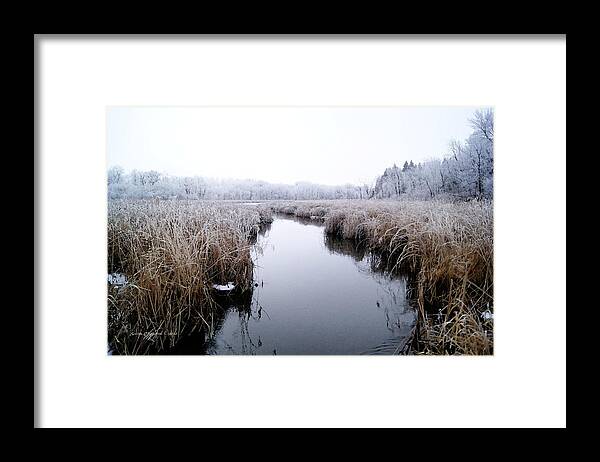 Frost Framed Print featuring the photograph Morning Rime by Steven Clipperton