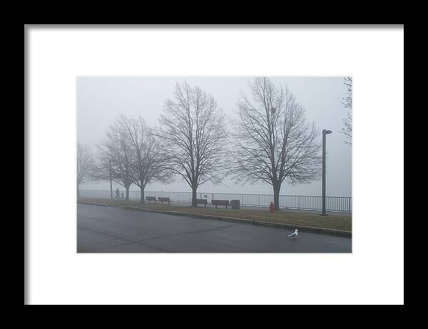 Forest Framed Print featuring the photograph Morning Stroll by Guy Whiteley