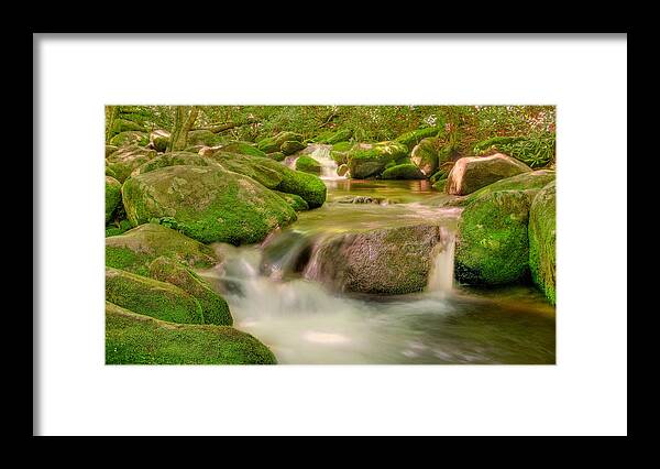 Gatlinburg Framed Print featuring the photograph Mossy Beauty by Cindy Haggerty