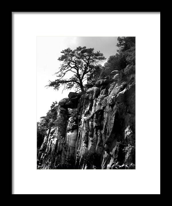 Mountain Framed Print featuring the photograph Mountain Tree by Marilyn Marchant