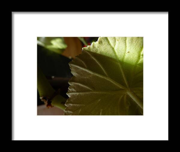  Framed Print featuring the photograph My room up close 8 by Myron Belfast