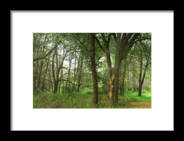 Hovind Framed Print featuring the photograph Mystic Forest by Scott Hovind