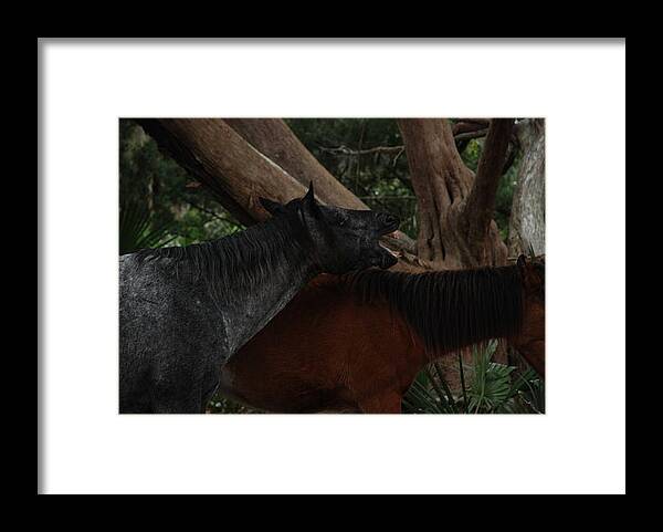 Horse Framed Print featuring the photograph Nag Nag Nag by Renee Holder