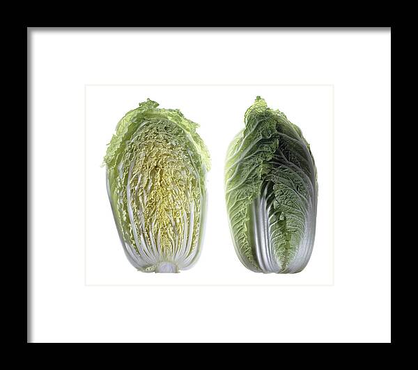 Fruit Framed Print featuring the photograph Napa Cabbage by Nathaniel Kolby