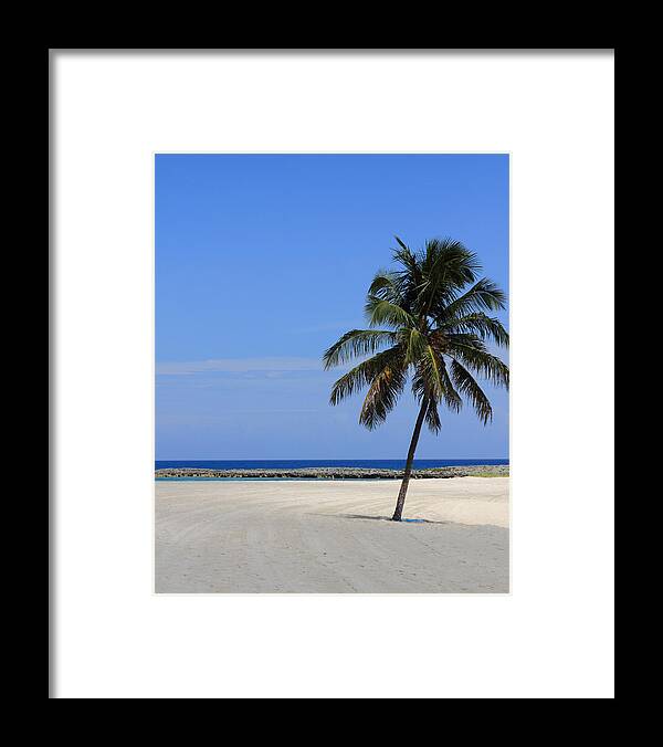 Beach Framed Print featuring the photograph Nassau Palm by Coby Cooper