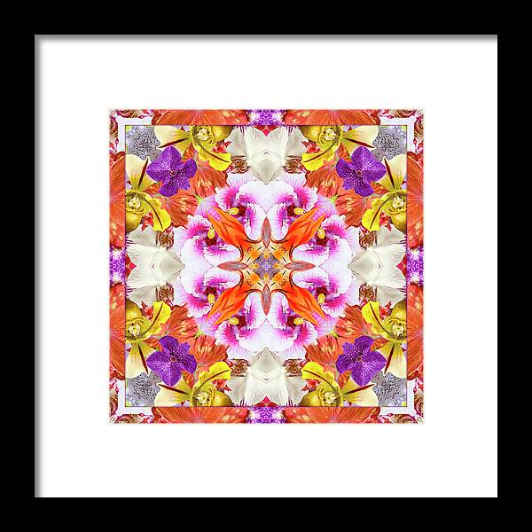 Yoga Art Framed Print featuring the photograph Natural Finesse by Bell And Todd