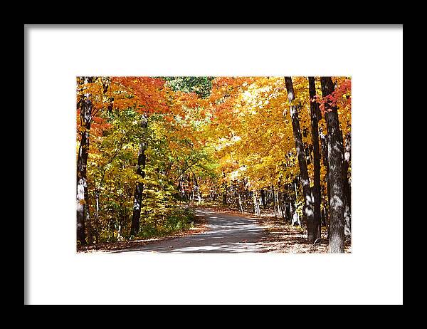 Fall Framed Print featuring the photograph Nature Drive by Kim Hymes