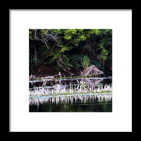 Reflection Framed Print featuring the photograph #nature #lake #pond #reflection #trees by Dusty Anderson