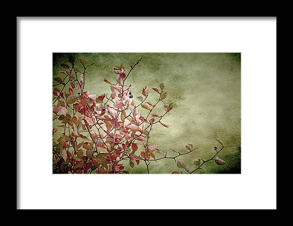 Nature Framed Print featuring the photograph Nature on Parade by Bonnie Bruno