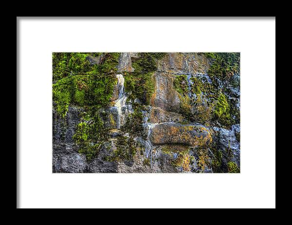 Hdr Framed Print featuring the photograph Nature's Abstract by Brad Granger