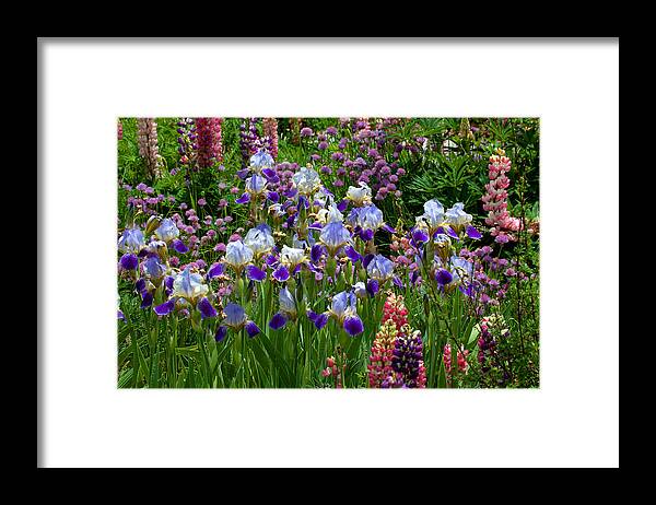 Flowers Photograph; Lupine Canvas Print Framed Print featuring the photograph Natures Bouquet by Jim Garrison