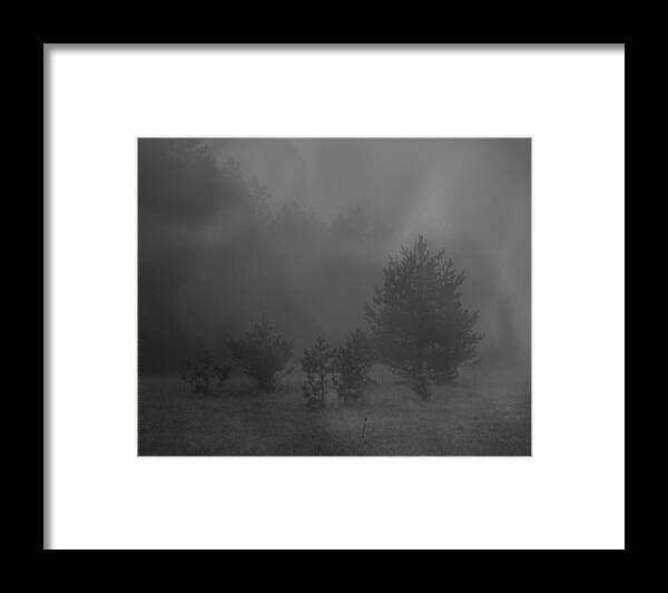 Fog Framed Print featuring the photograph Nebelbild 12 - Fog Image 12 by Mimulux Patricia No
